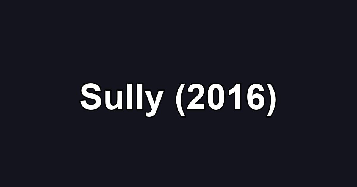 Sully (2016)
