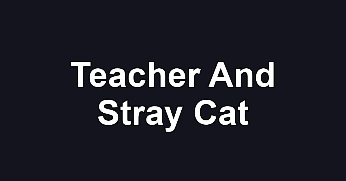Teacher And Stray Cat