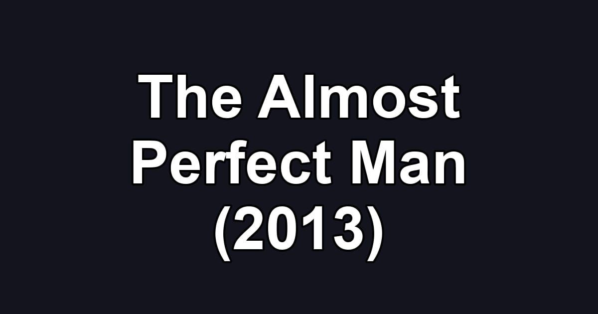 The Almost Perfect Man (2013)
