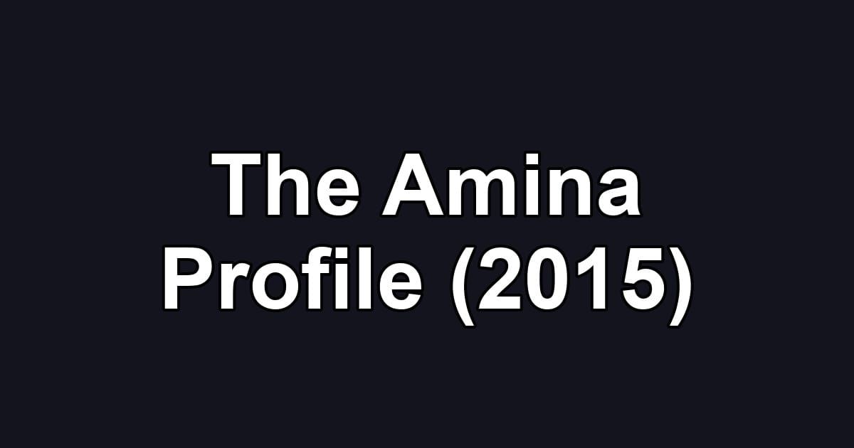 The Amina Profile (2015)
