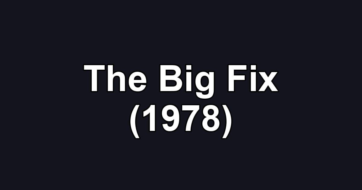 The Big Fix (1978)