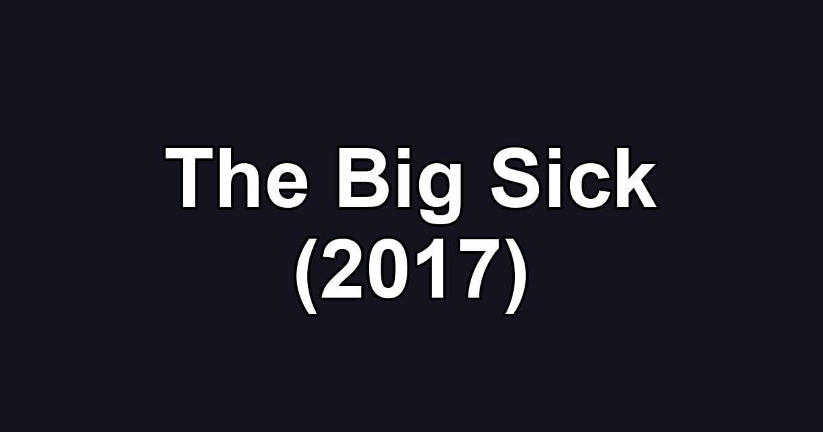 The Big Sick (2017)