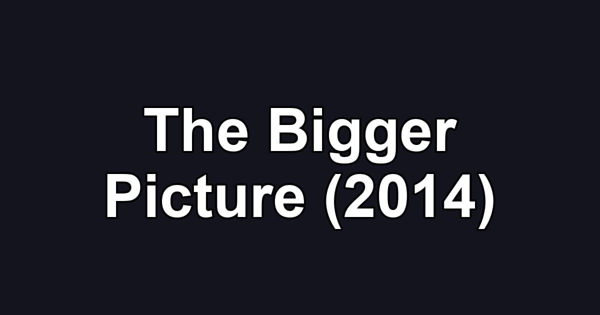 The Bigger Picture (2014)