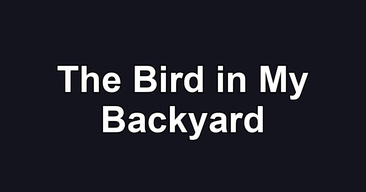 The Bird in My Backyard