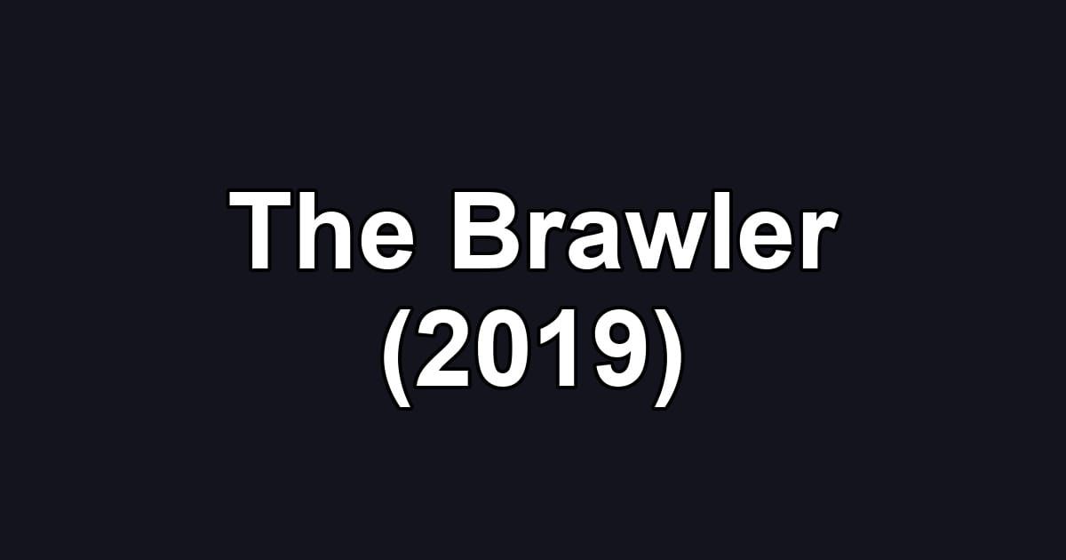 The Brawler (2019)