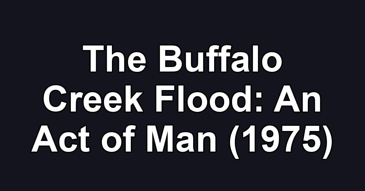 The Buffalo Creek Flood: An Act of Man (1975)