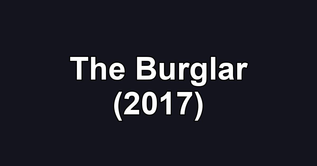The Burglar (2017)