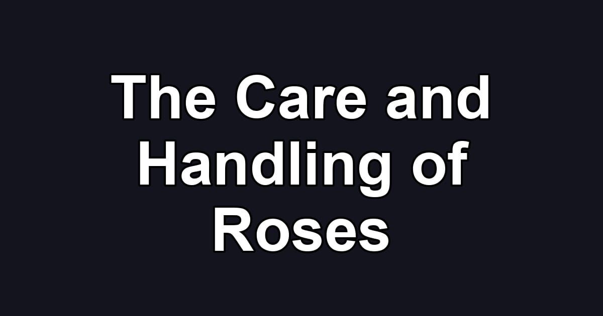 The Care and Handling of Roses
