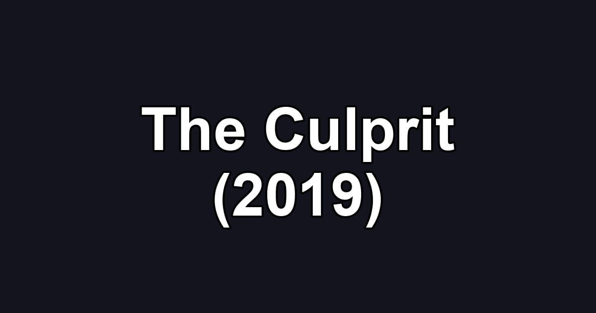 The Culprit (2019)