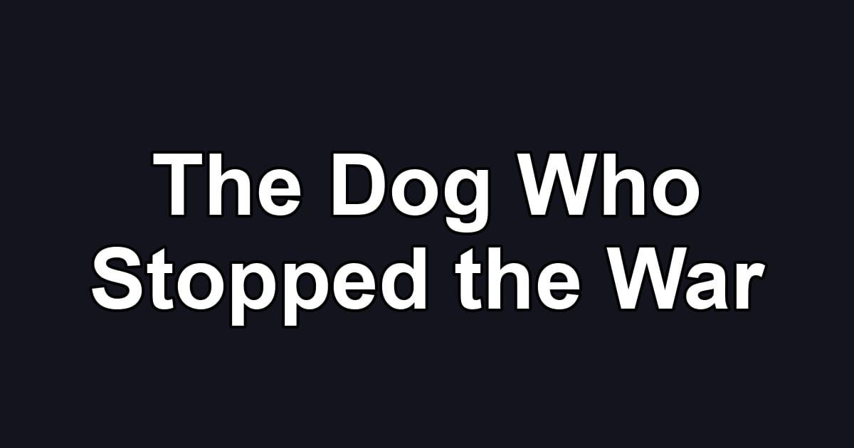 The Dog Who Stopped the War