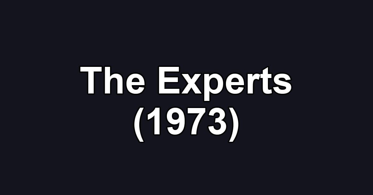 The Experts (1973)