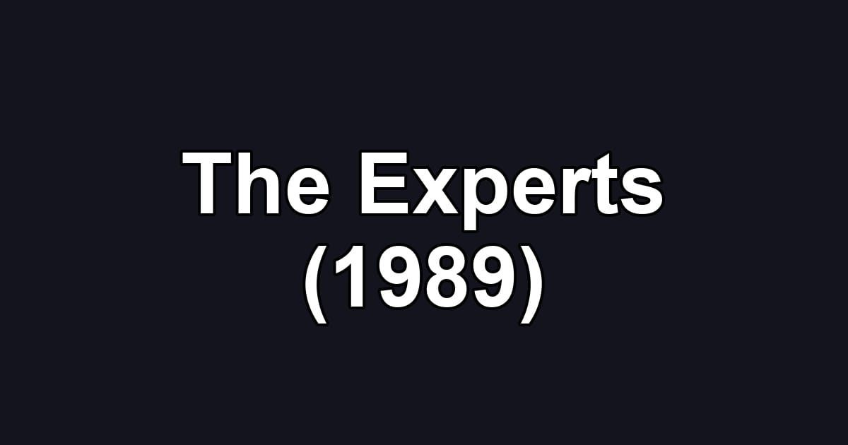 The Experts (1989)