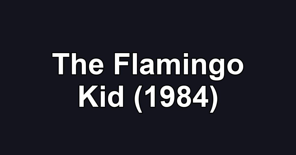 The Flamingo Kid (1984)