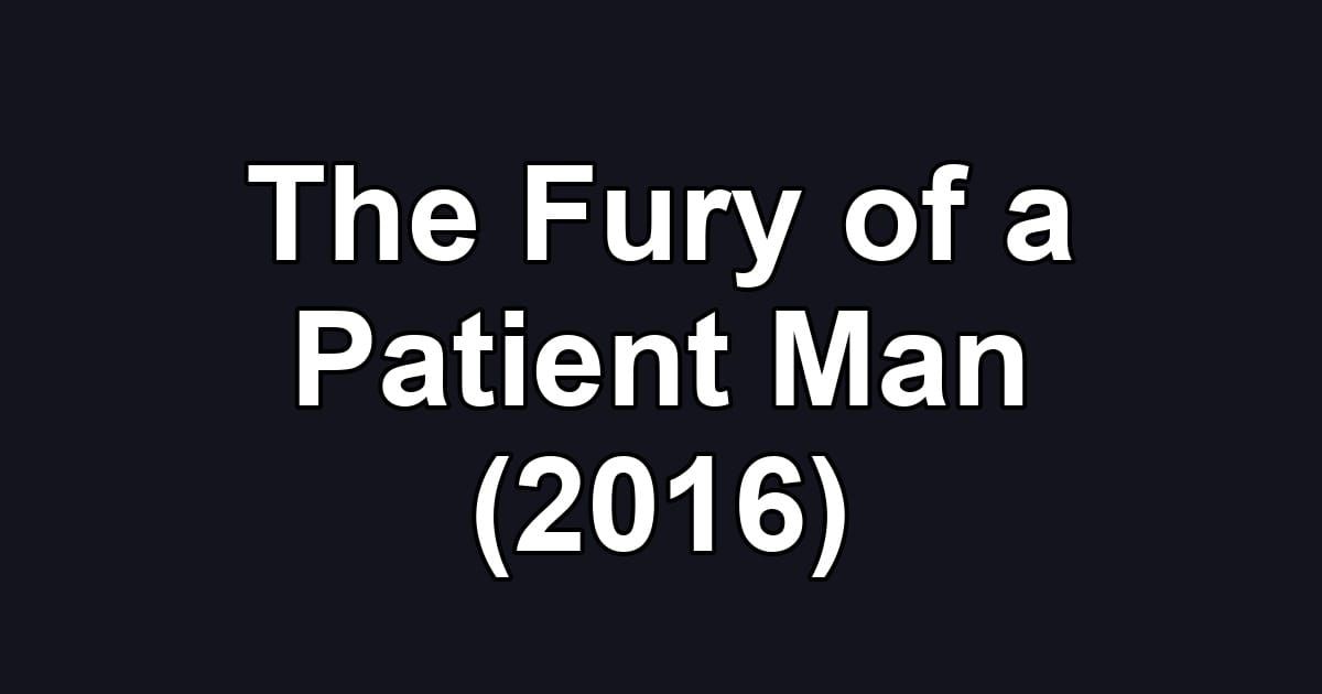 The Fury of a Patient Man (2016)