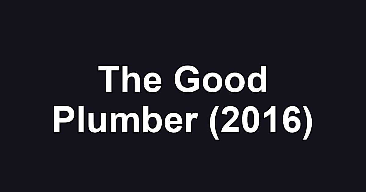 The Good Plumber (2016)