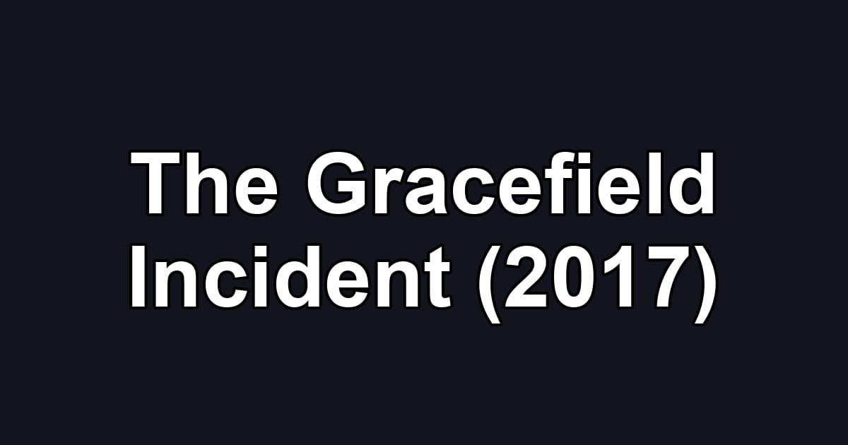 The Gracefield Incident (2017)
