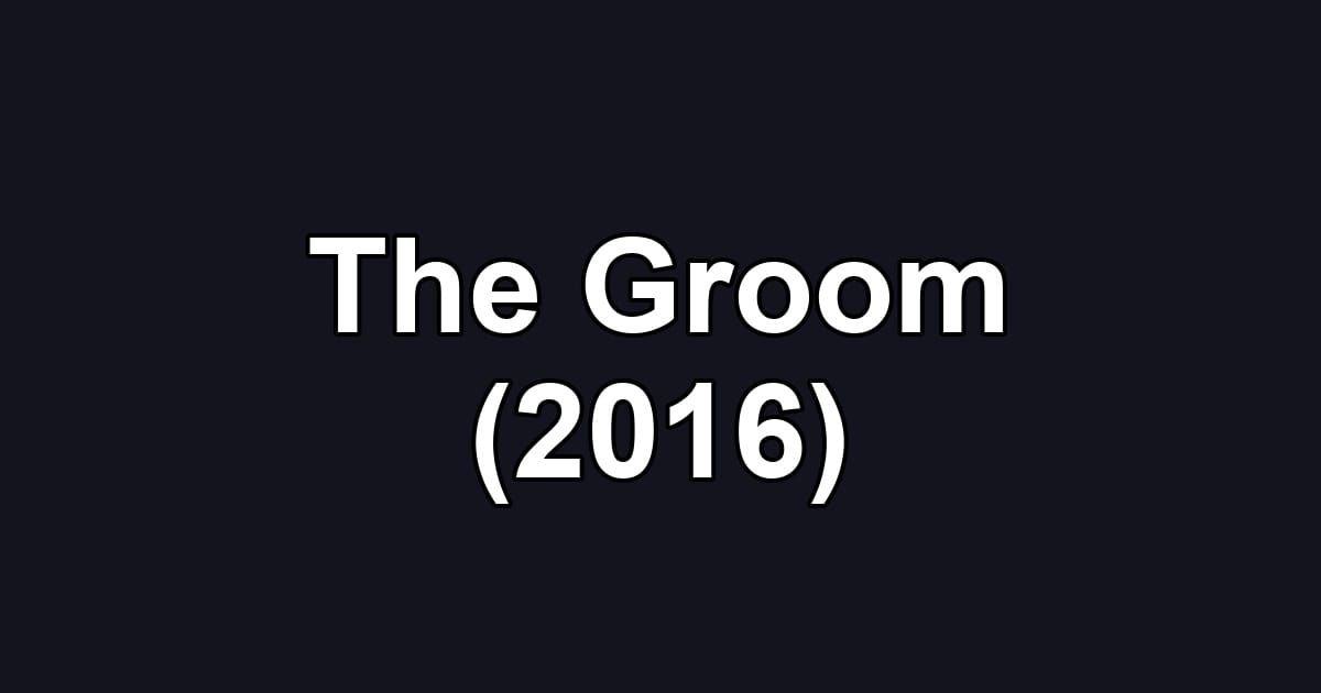 The Groom (2016)