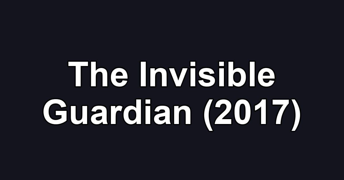 The Invisible Guardian (2017)