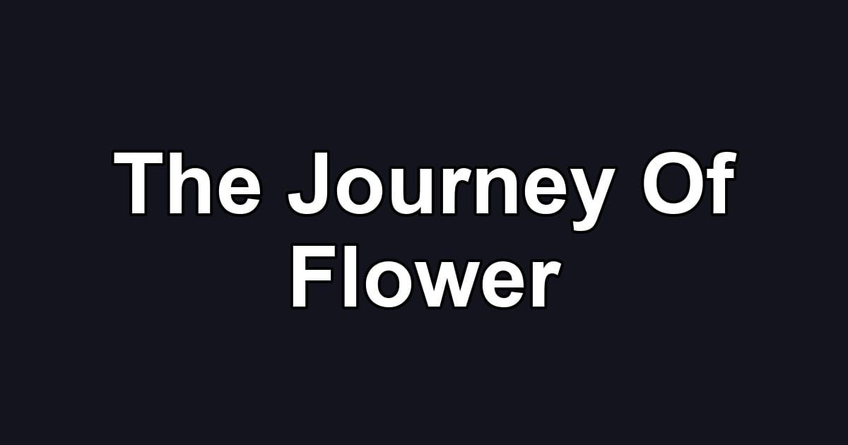 The Journey Of Flower