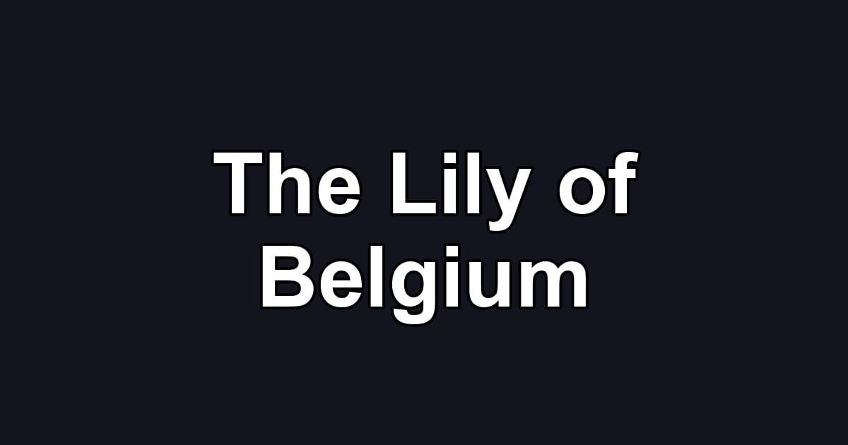 The Lily of Belgium