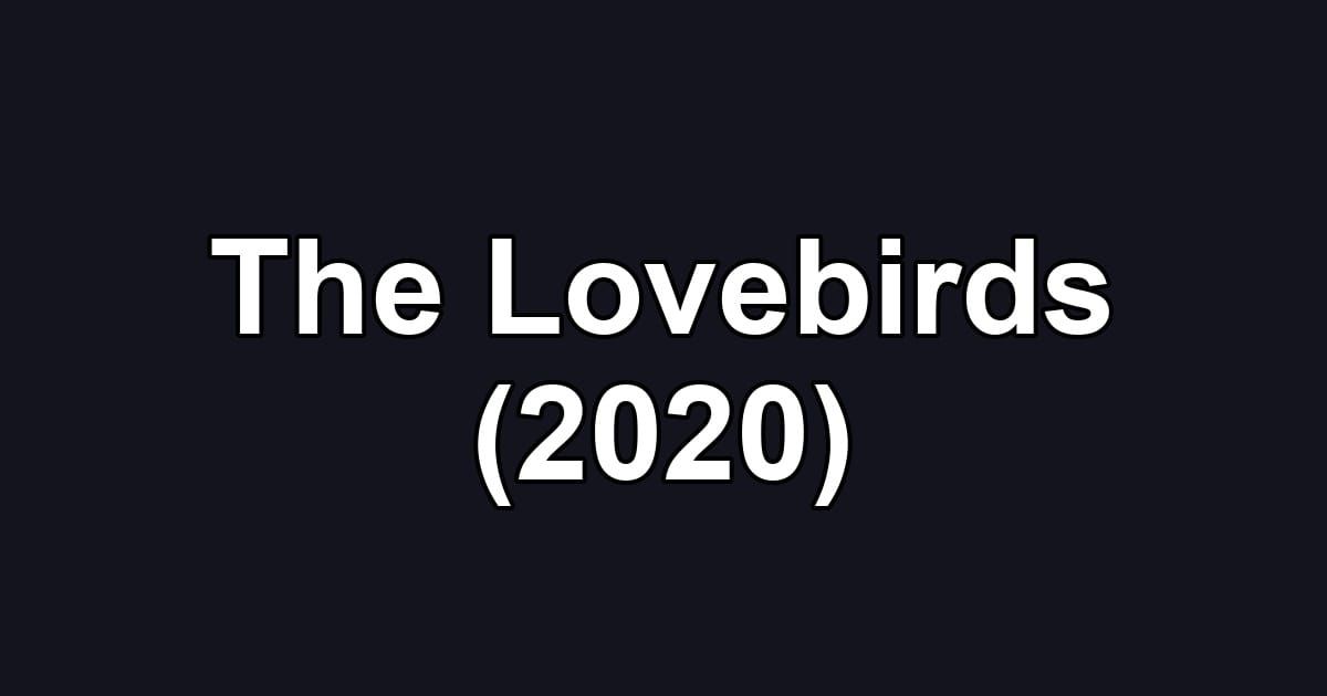 The Lovebirds (2020)