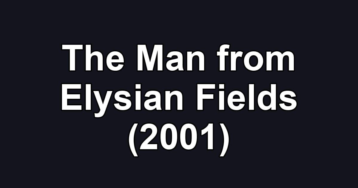 The Man from Elysian Fields (2001)