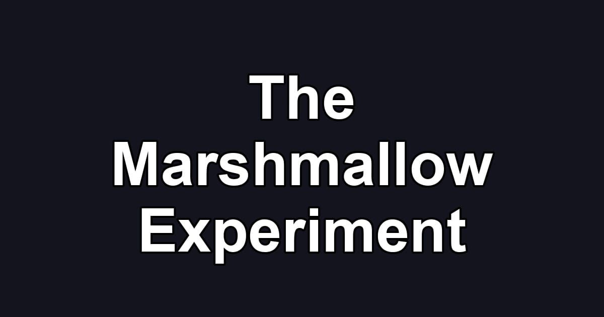 The Marshmallow Experiment