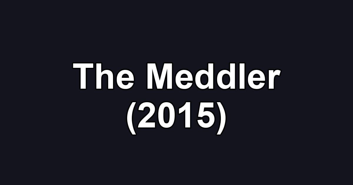 The Meddler (2015)