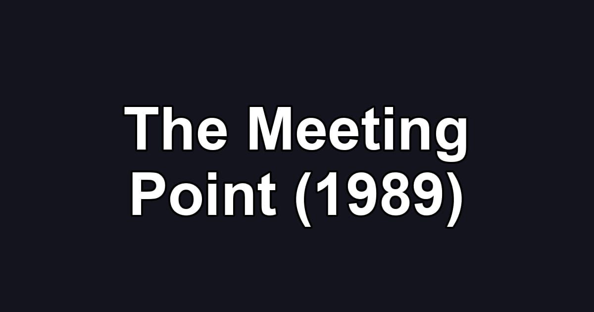 The Meeting Point (1989)