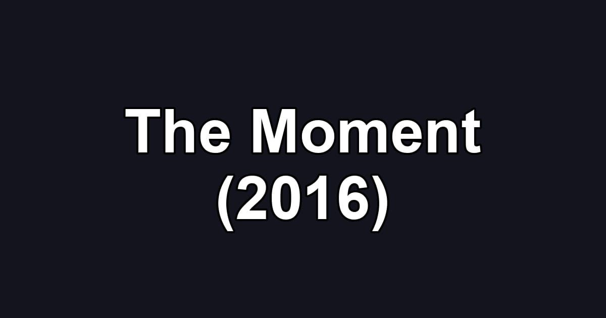 The Moment (2016)