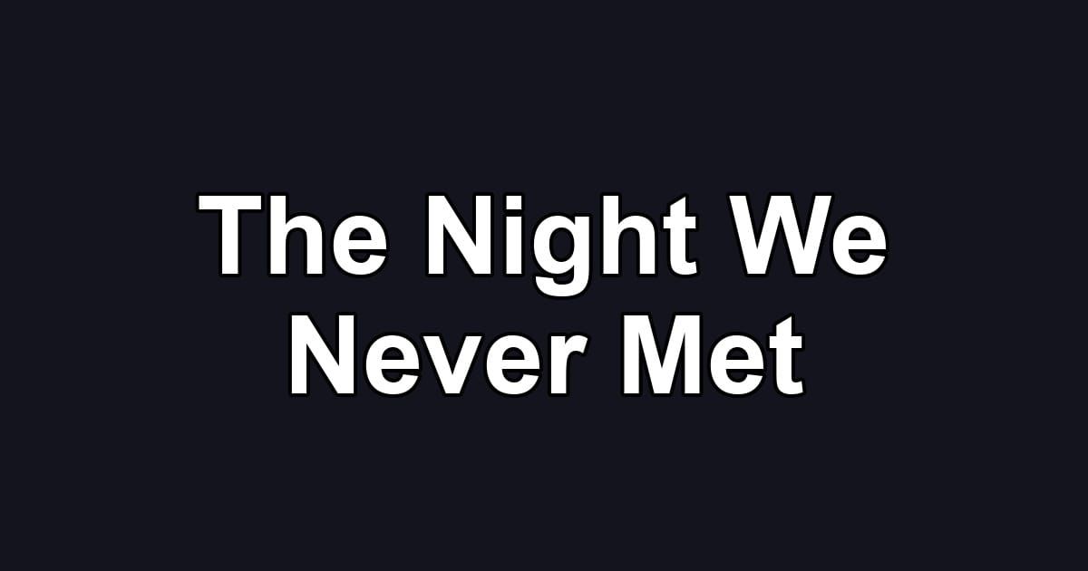 The Night We Never Met