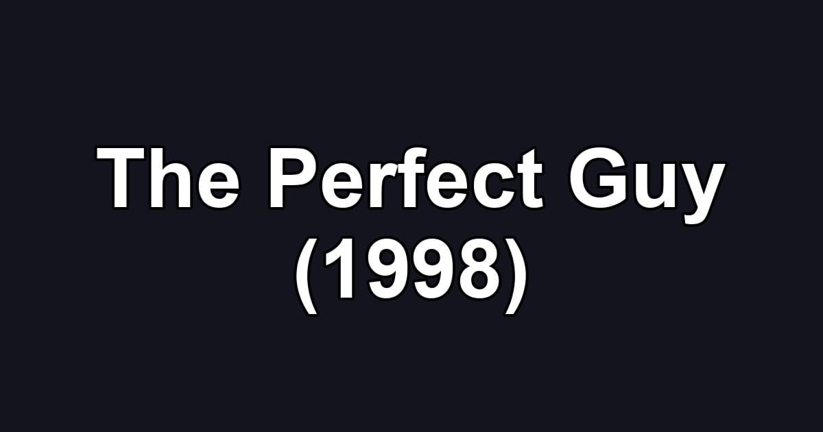 The Perfect Guy (1998)