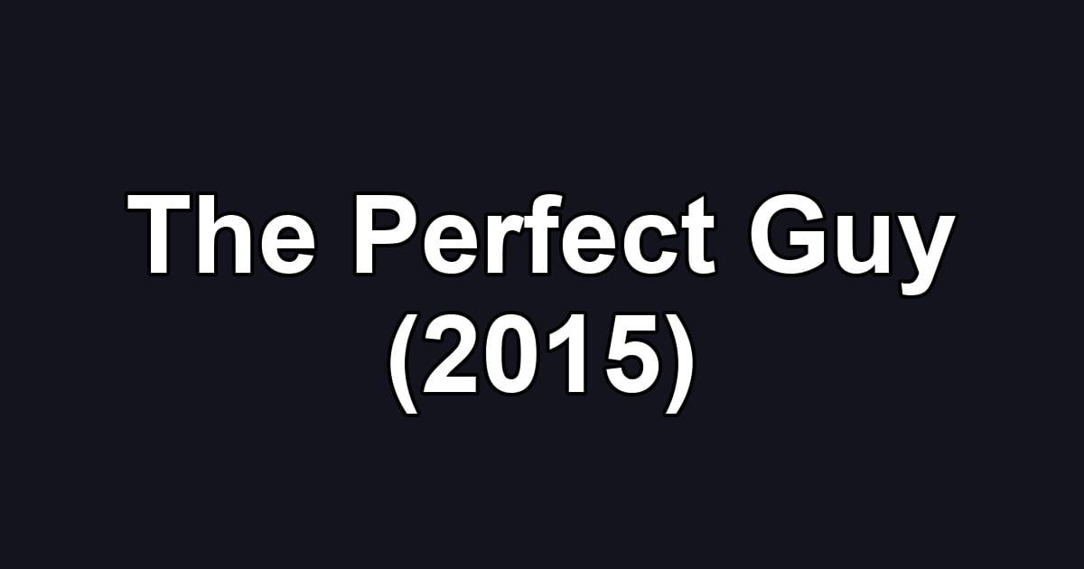 The Perfect Guy (2015)