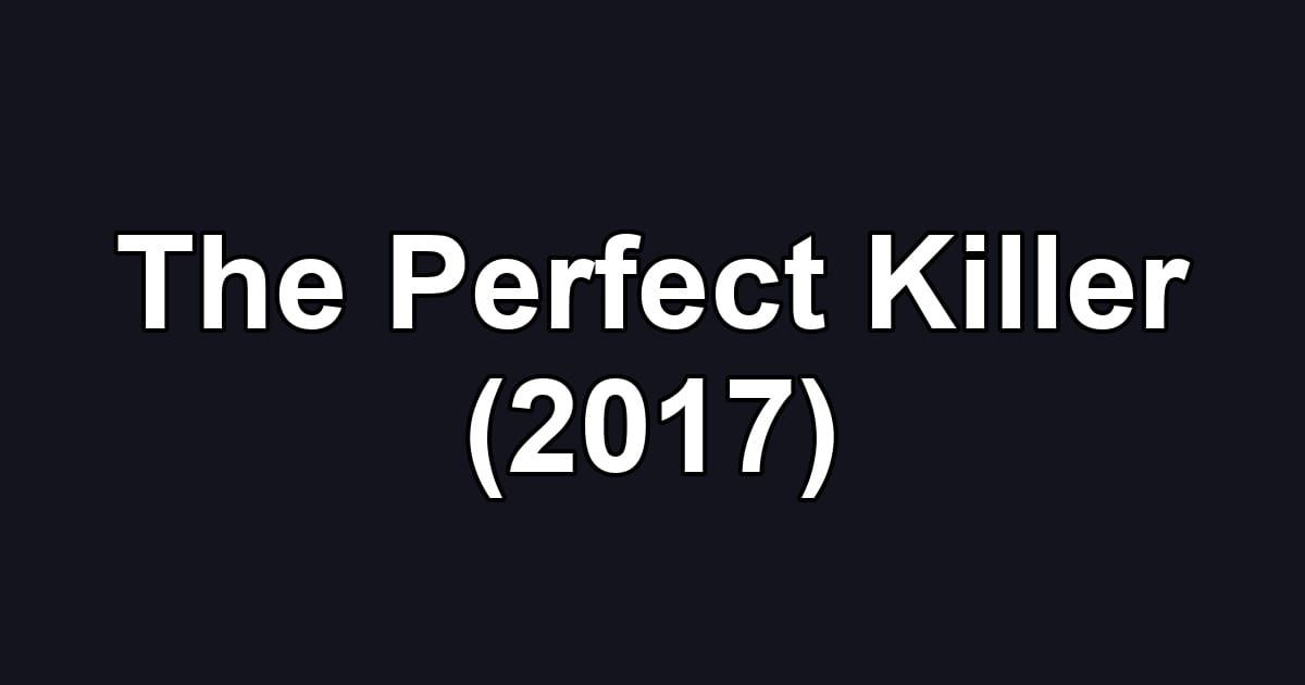 The Perfect Killer (2017)