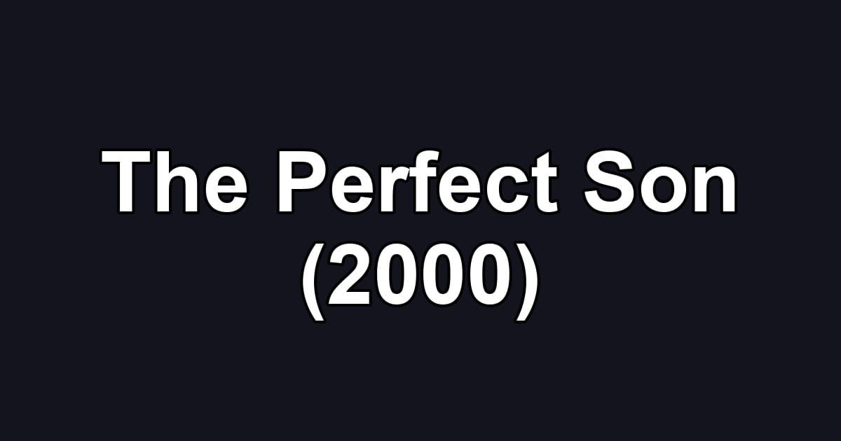 The Perfect Son (2000)