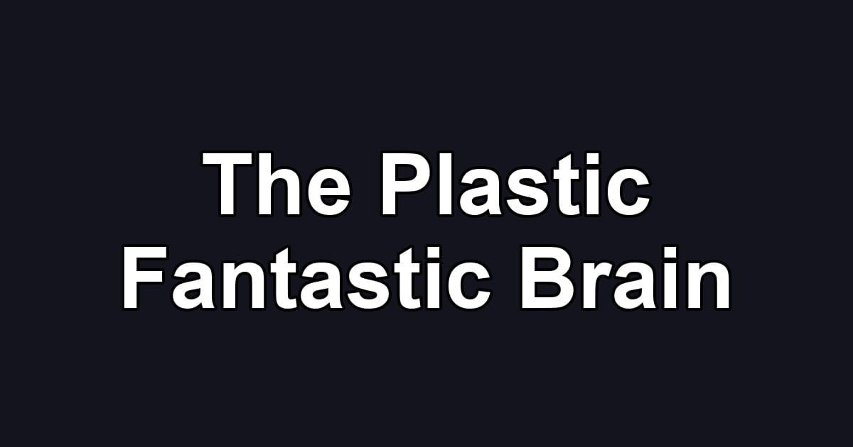 The Plastic Fantastic Brain