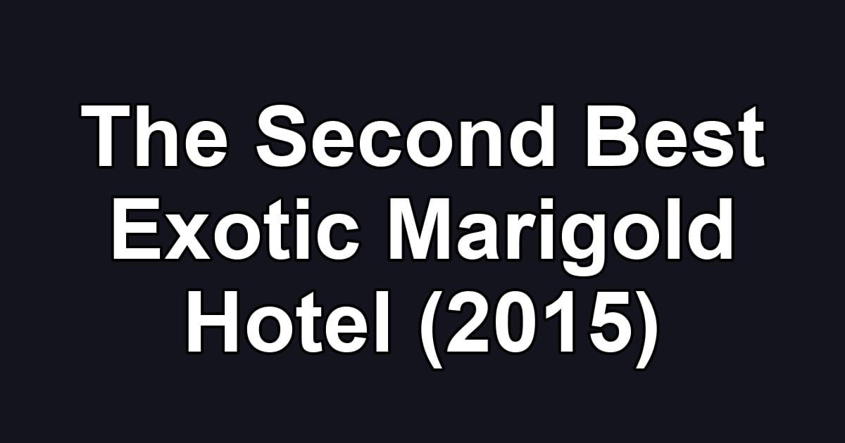 The Second Best Exotic Marigold Hotel (2015)