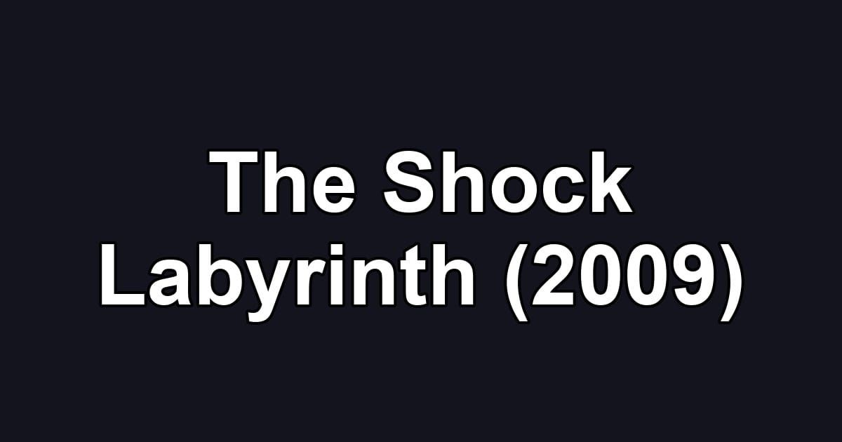 The Shock Labyrinth (2009)
