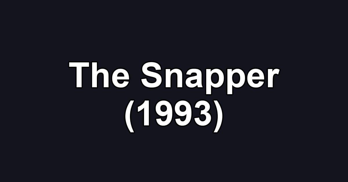 The Snapper (1993)