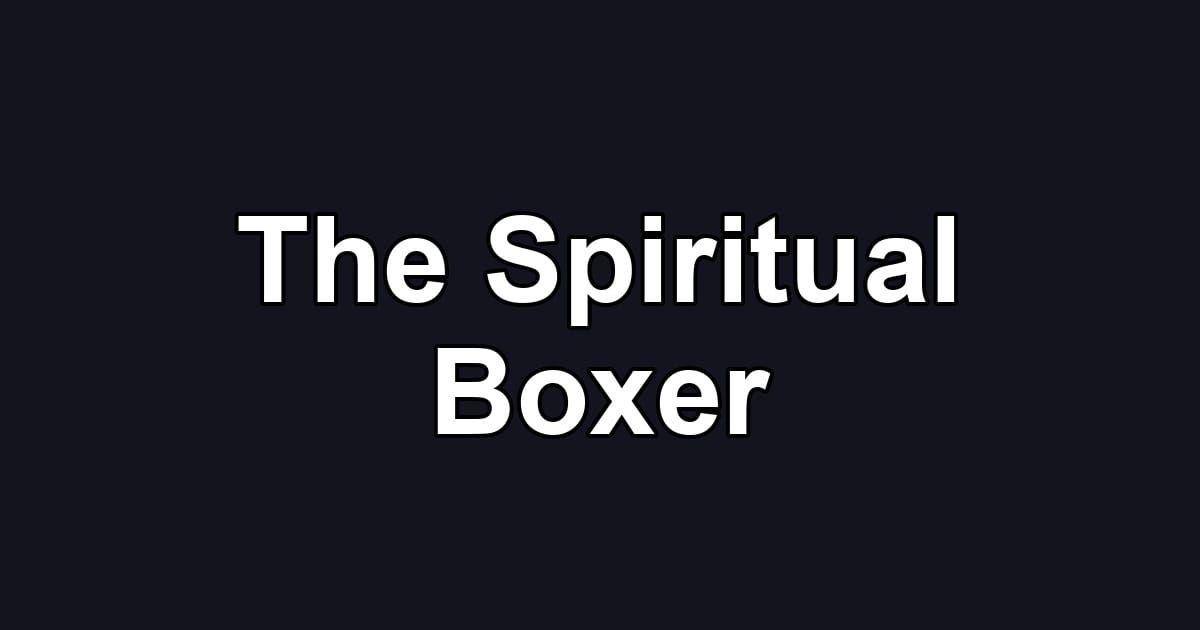 The Spiritual Boxer