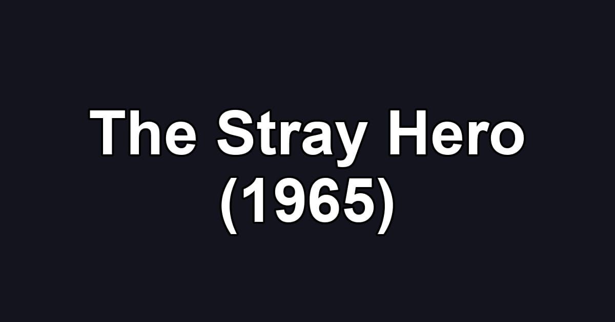 The Stray Hero (1965)