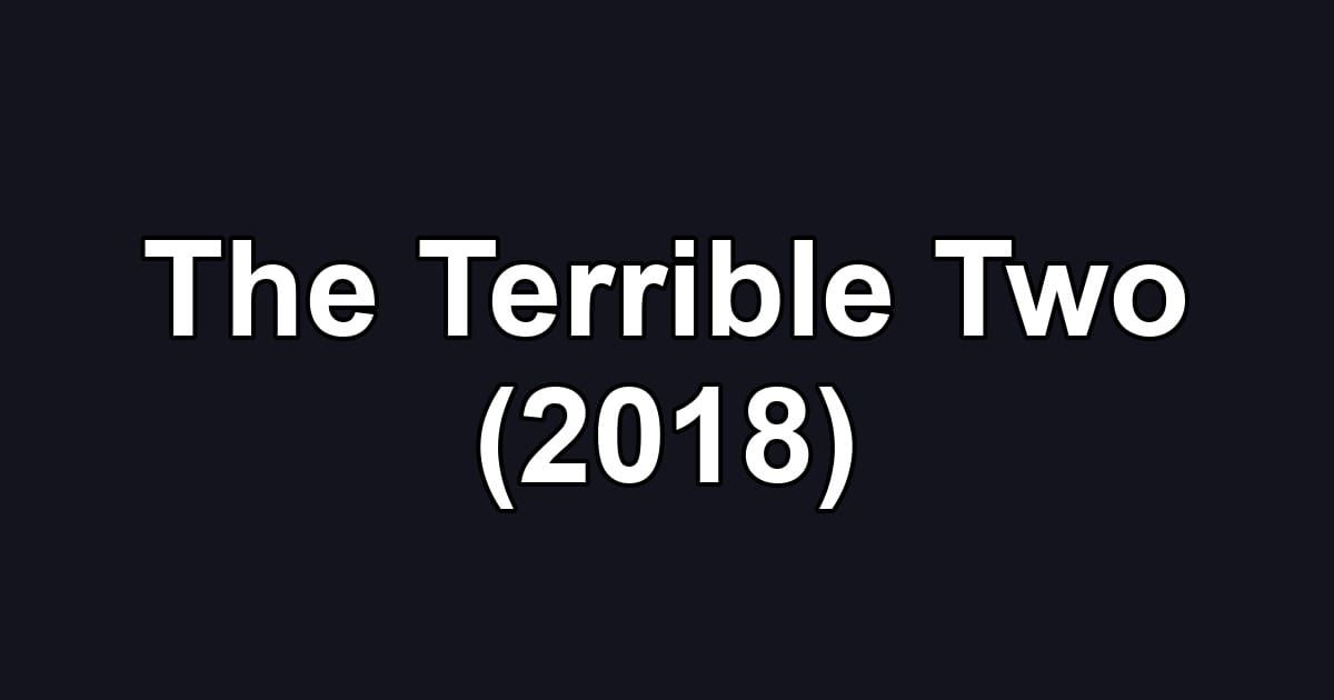The Terrible Two (2018)