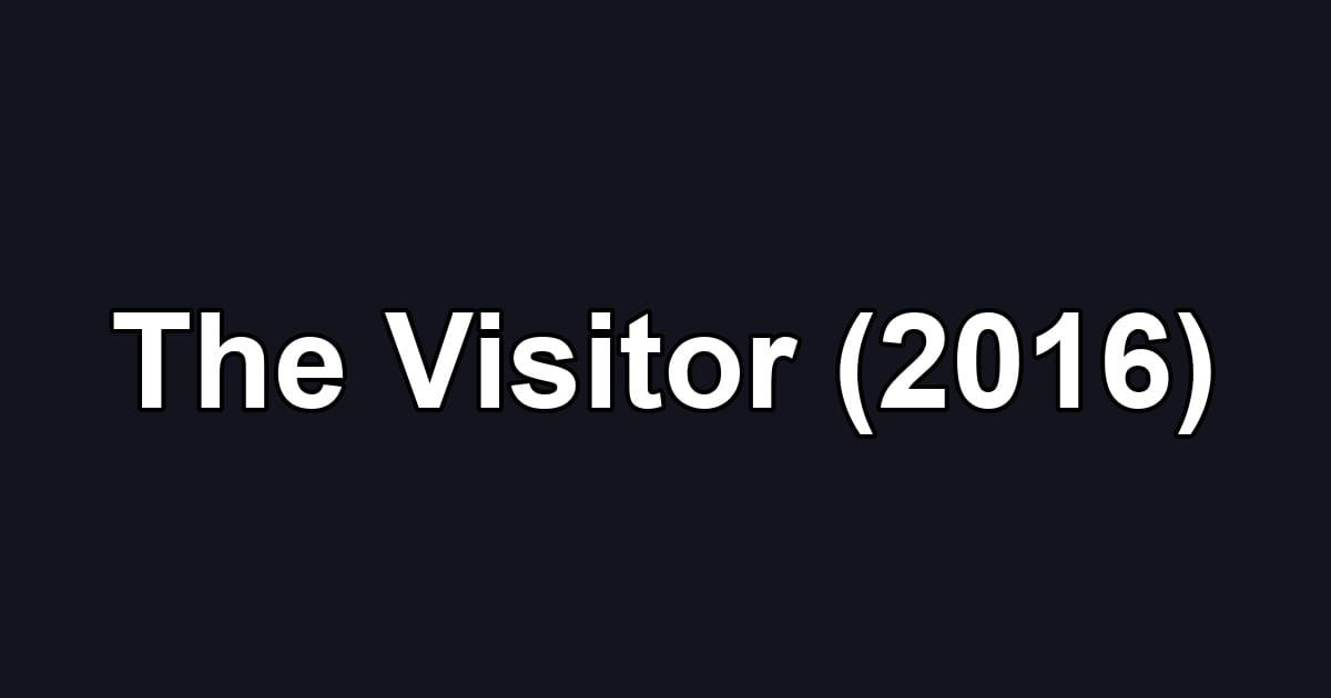 The Visitor (2016)