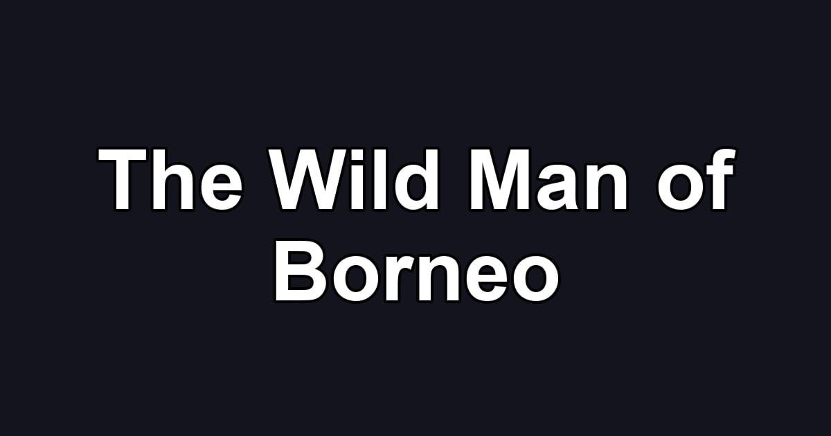 The Wild Man of Borneo