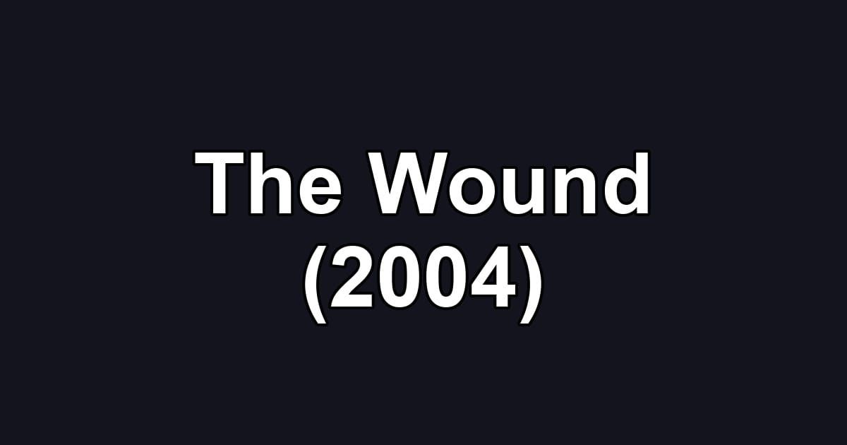 The Wound (2004)