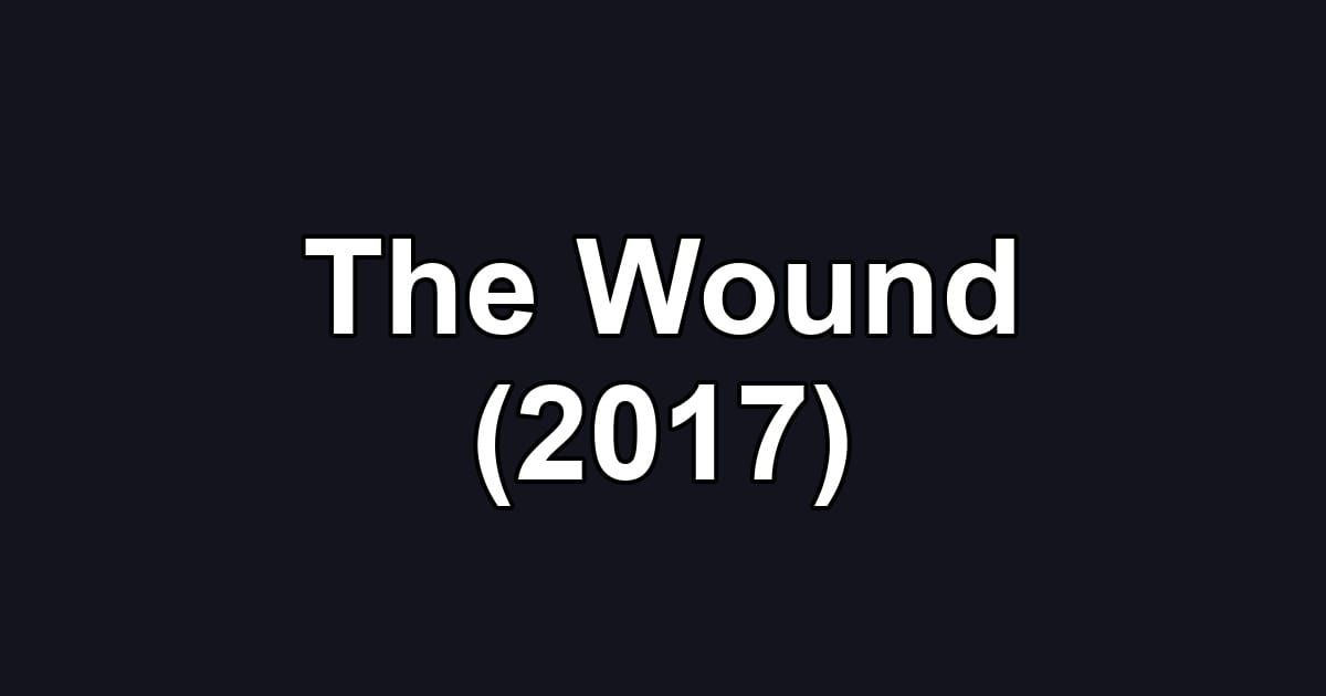 The Wound (2017)