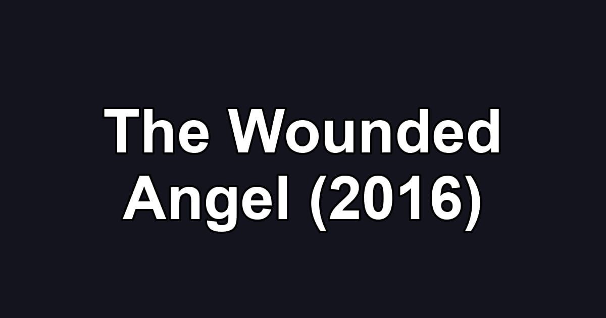 The Wounded Angel (2016)