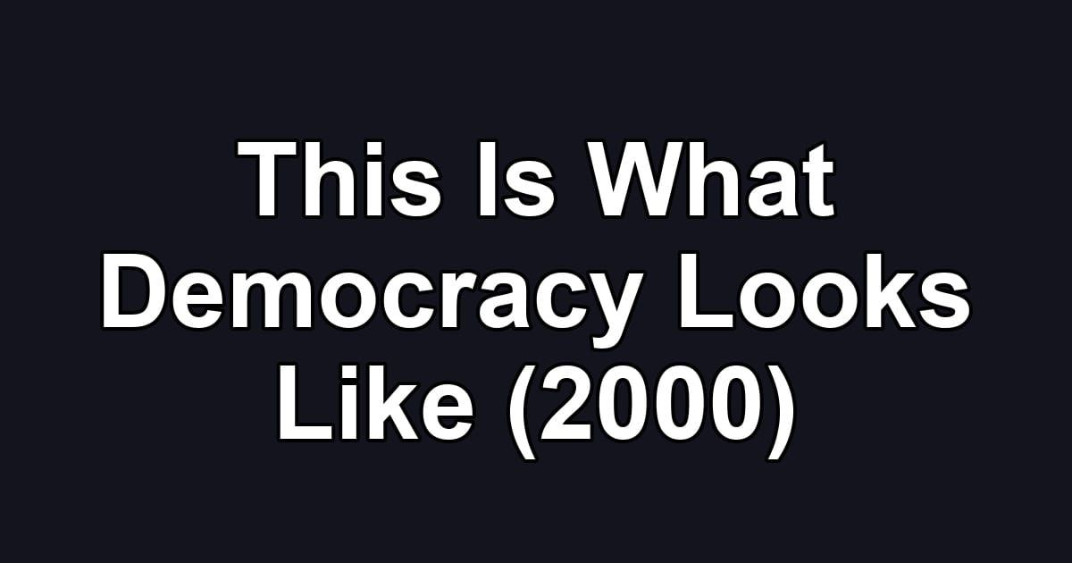 This Is What Democracy Looks Like (2000)
