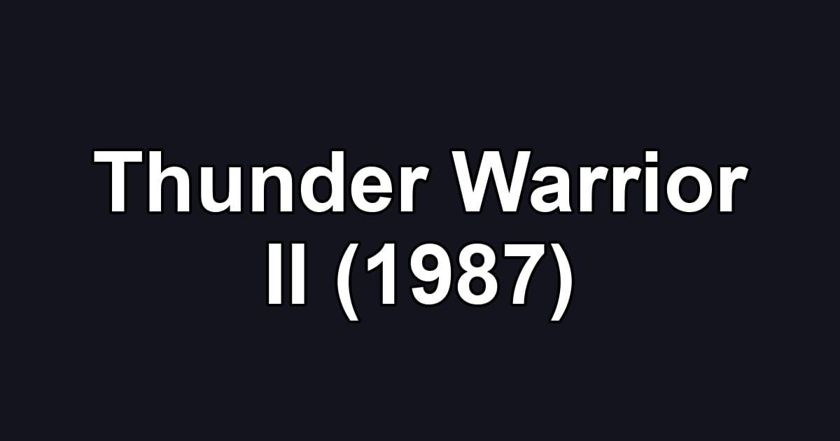 Thunder Warrior II (1987)