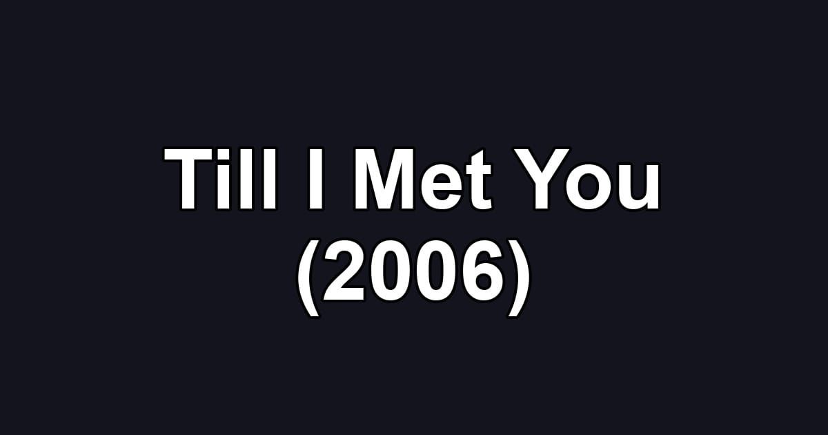 Till I Met You (2006)